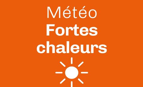 Alerte météo canicule / Mobilisation de la Ville