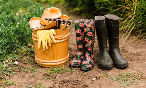 Weekend des transitions #11 : Vive l'agriculture urbaine !